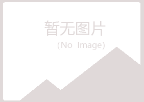 鹤岗兴山冰蓝采矿有限公司